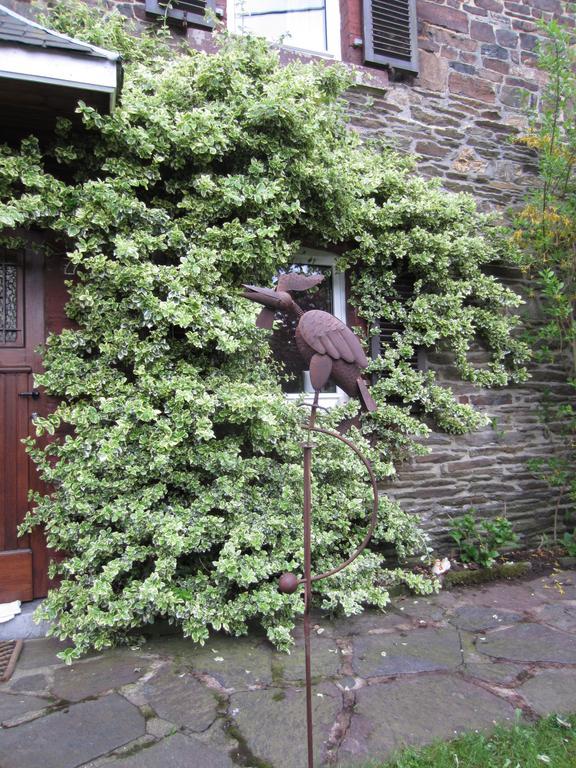 Au Jardin De Mon Pere Villa Jalhay Exteriör bild